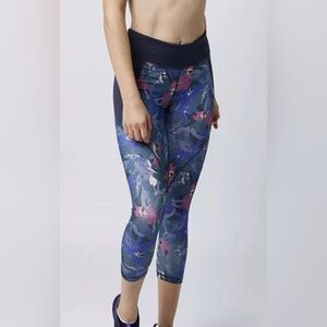Patagonia Centered Crops